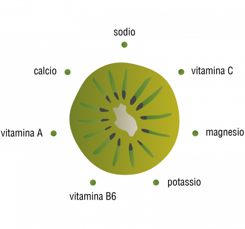 armonia-info-prodotti_kiwi