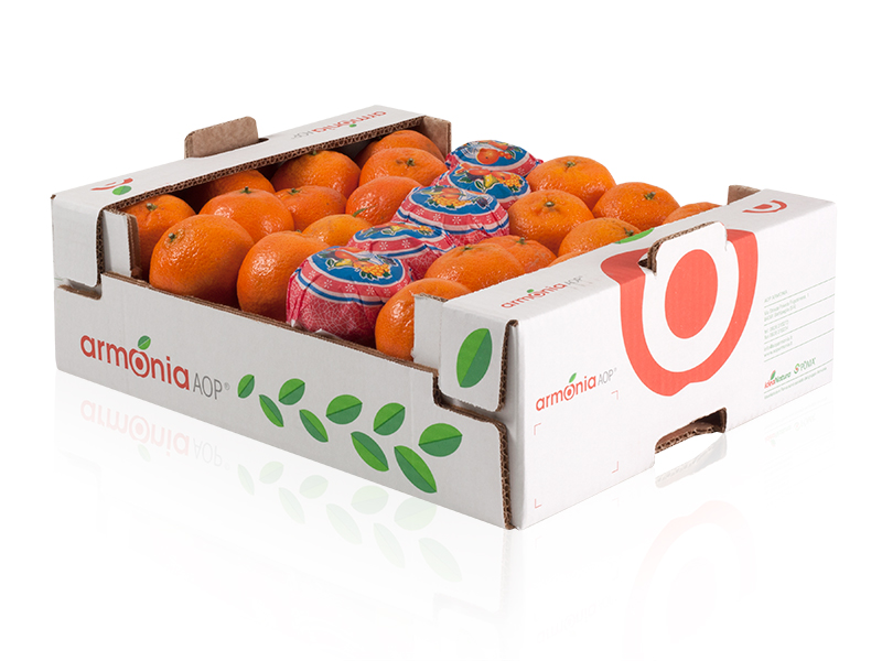 clementine01