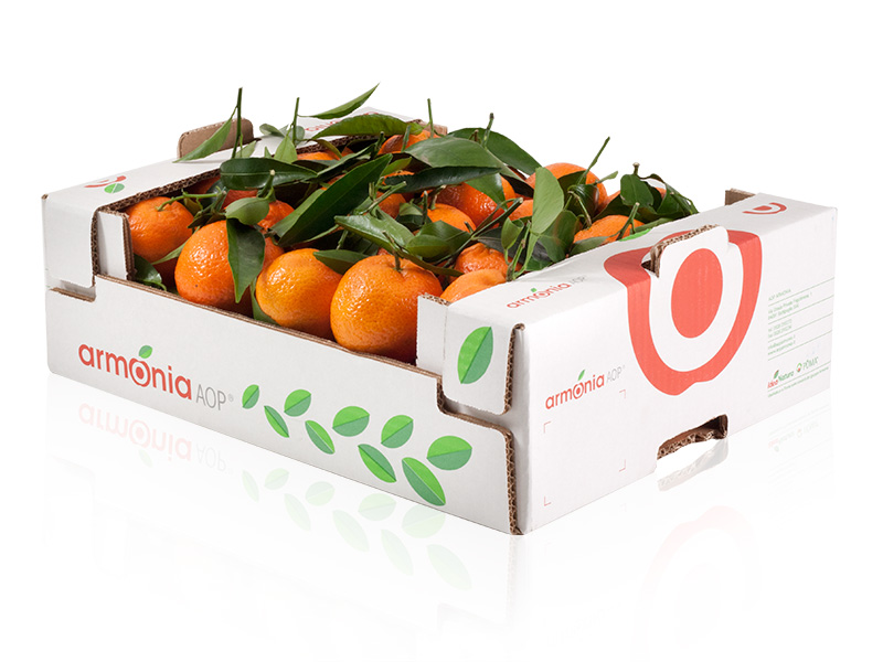 clementine02-1