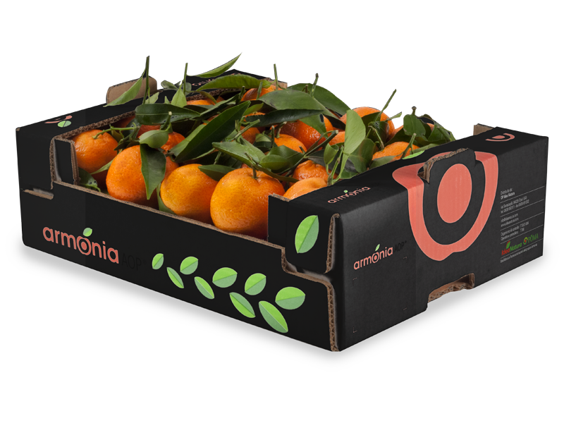 clementine_304013cartone_armoniaAOP
