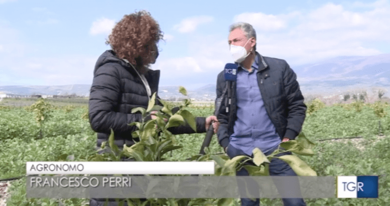 Scopri di più sull'articolo Clementina Perrina a Officina Italia