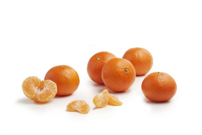 Fresh Point Magazine – L’Op Armonia lancia Kinnow LS, il mandarino più dolce che matura in primavera