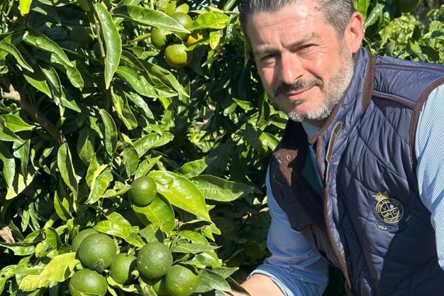 Fresh Plaza – Una clementina tardiva made in Ue per limitare importazioni da Paesi terzi