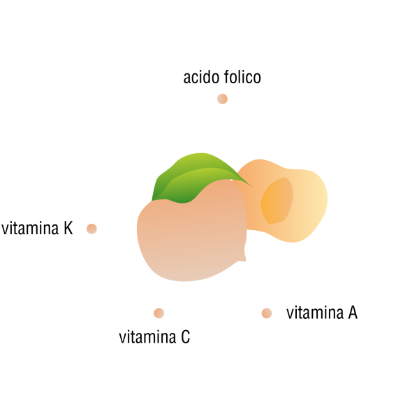 armonia-info-prodotti_percoca